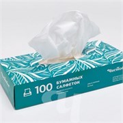 Салфетки бумажные двухслойные вытяжные 100шт/уп 00-274